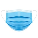 Mask (Pack of 100)