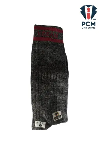 Socks KCPS Long Leg (W)